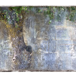 Tree and Wall _color silkscreen print_50x70